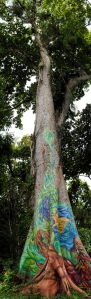 Arbol pintado | Bosque Modelo Reventazón, Costa Rica